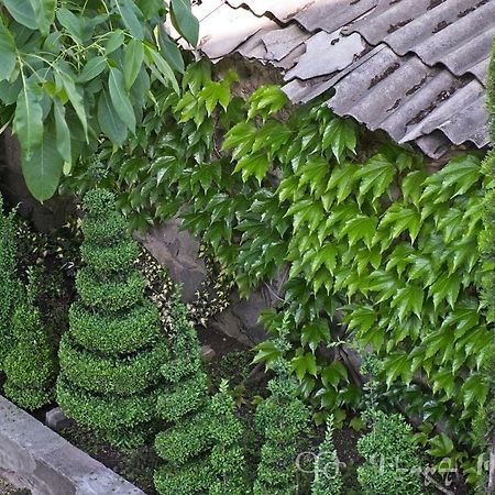 Shushan B&B Ехегнадзор Экстерьер фото